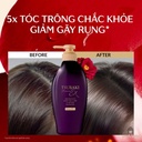 dau-goi-tsubaki-premium-ex-450ml-tim-phuc-hoi-hu-ton-nang--giam-gay-rung.jpg