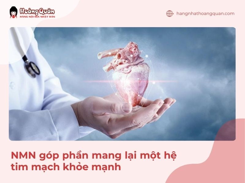 NMN ngăn chặn những tổn thương làm hại đến hệ tim mạch