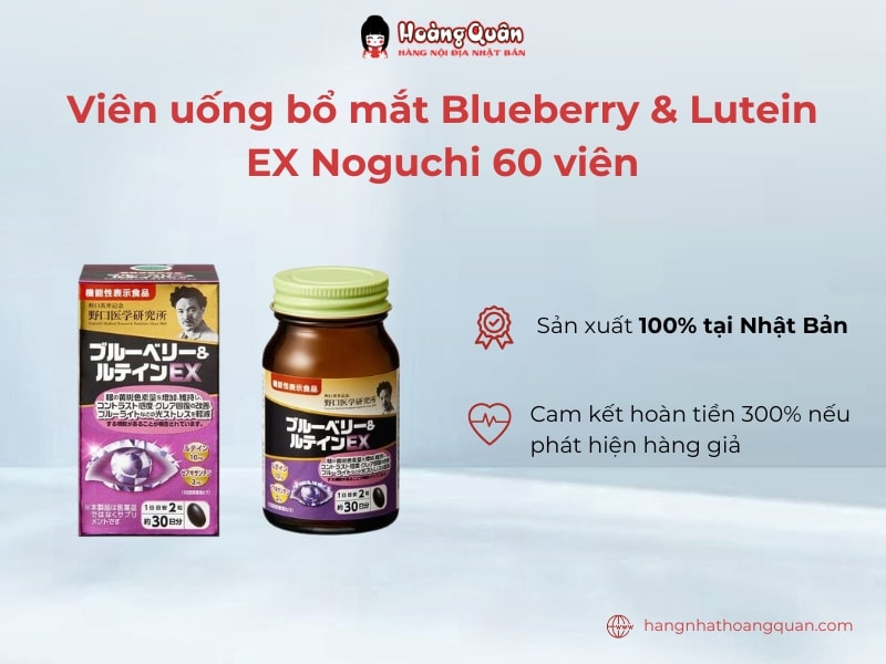 Viên uống bổ mắt Nhật Bản Blueberry & Lutein EX giúp bảo vệ đôi mắt