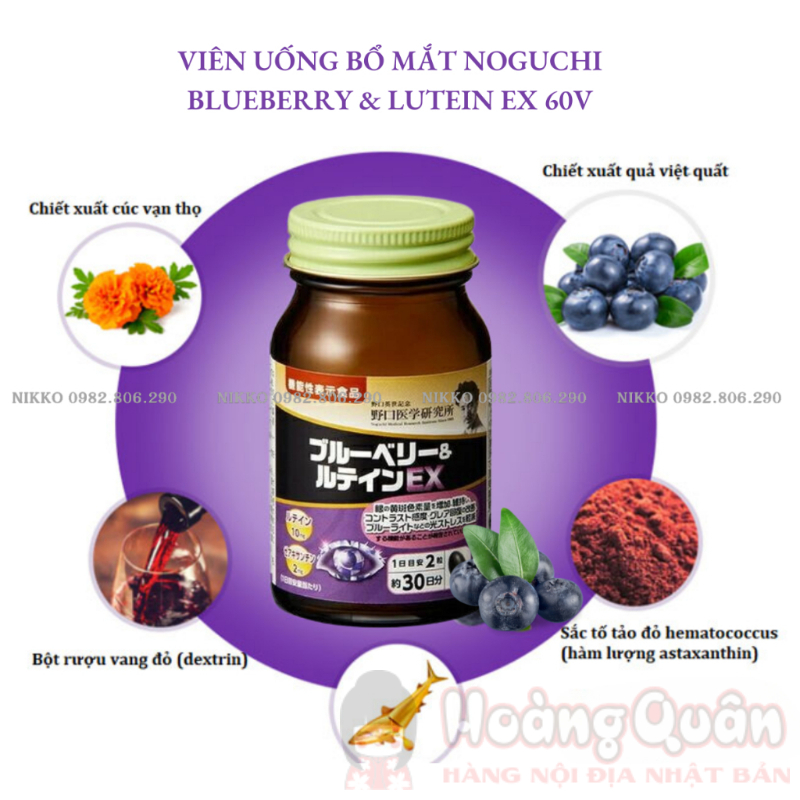 Thực Phẩm Bảo Vệ Sức Khỏe Blueberry & LuteinEX 60 Viên