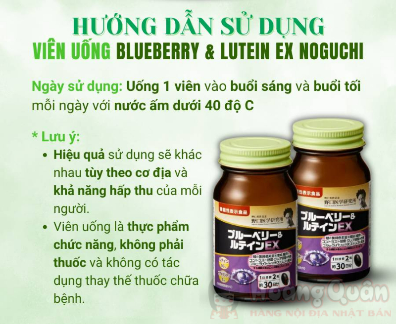 Viên Uống Bổ Mắt Blueberry Lutein EX Noguchi 60 viên