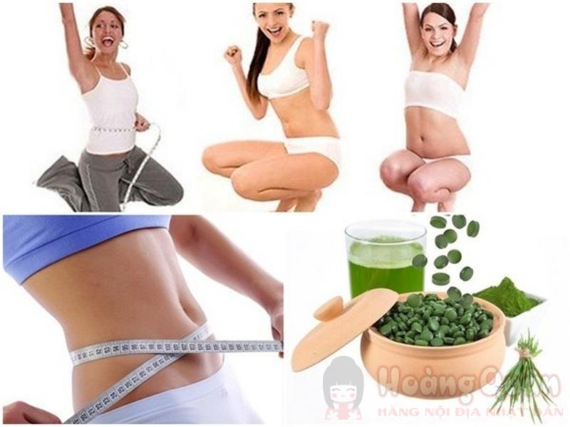 tảo xoắn nhật bản giảm cân