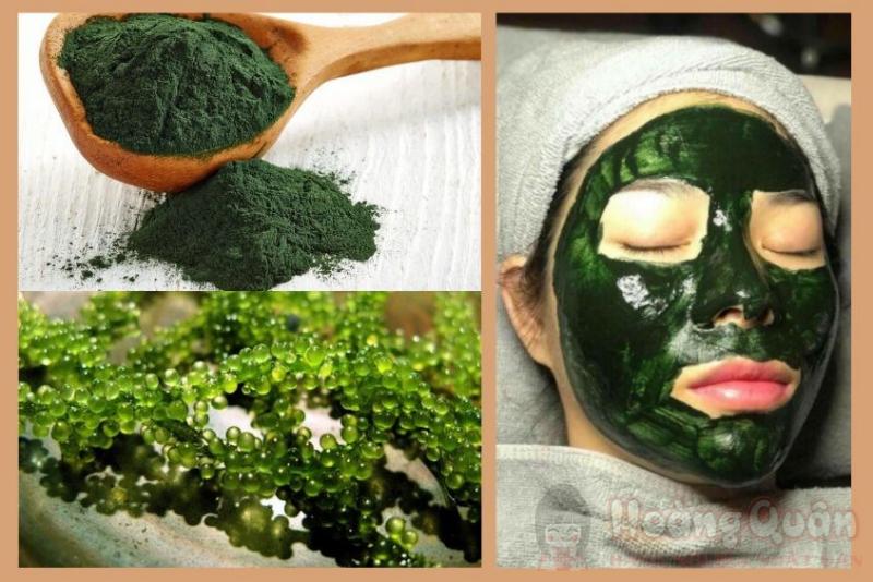 cách đắp mặt nạ bằng viên tảo xoắn
