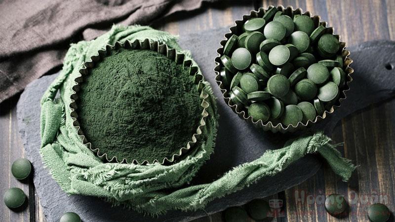 tảo xoắn spirulina