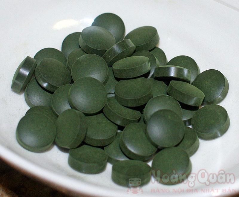 tảo xoắn có tác dụng gì