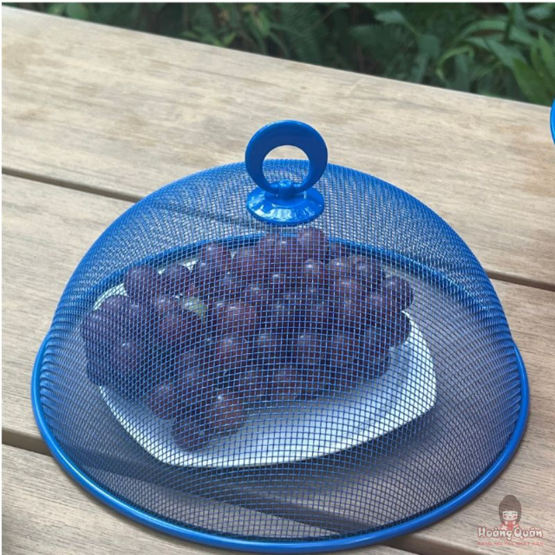 Rổ quả táo Kaiyo có nắp đậy màu xanh giá rẻ