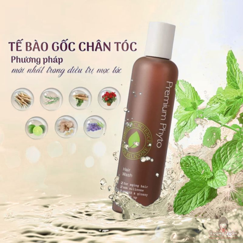 Dầu gội Ampleur Premium Phyto Hair Wash N 260ml giá rẻ