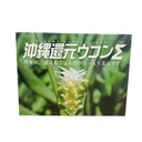 Viên Uống Tinh Chất Nghệ Turmeric Kangen Ukon 100 Viên