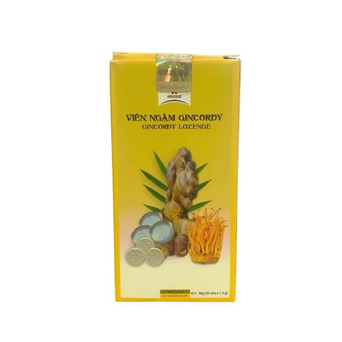 Viên Ngậm Gincordy Hỗ Trợ Ho Do Cảm, Say Tàu Xe,  Ăn Uống Khó Tiêu, Đau Bụng